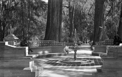 Un antiguo espacio para leer en Chapultepec