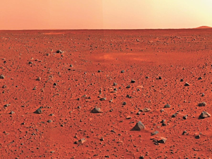 Foto: El Universal, archivo