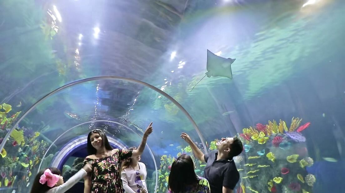 El acuario Michin tiene más espacios para que los peques del hogar corran y aprendan. Foto: Acuario Michín