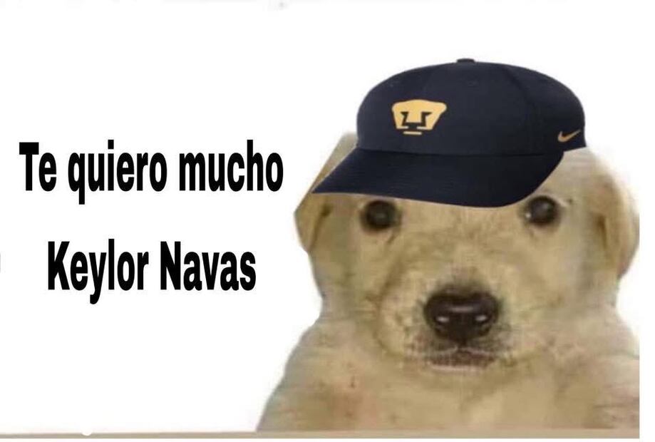 Pumas MEMES