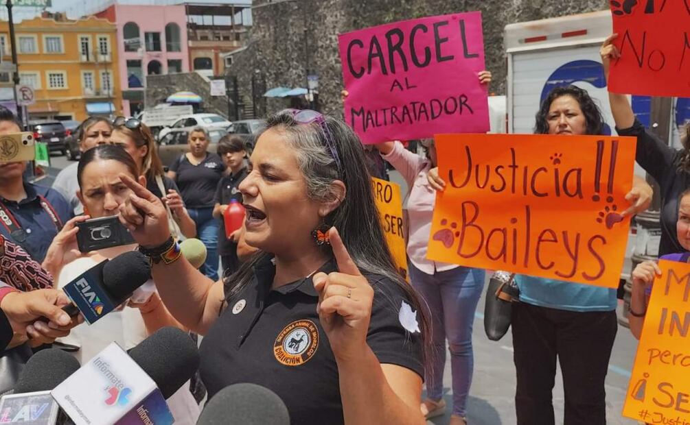 Activistas por los animales protestan contra fallo a favor del agresor de la perrita en Morelos (08/07/2025). Foto: Especial
