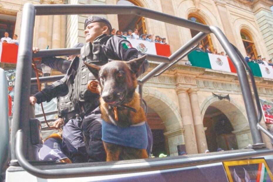 Algarabía viste desfiles militares en los 31 estados