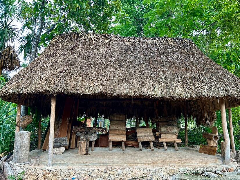 Colmenas de abeja melipona en troncos de árbol jobon, casa de Marcos Cante. Señor, Quintana Roo. Foto Omar Vidal
