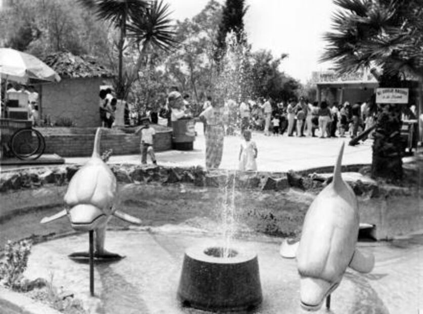 De parque infantil a bosque embrujado
