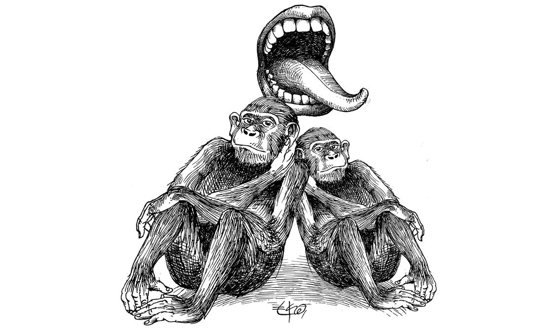 Explicando el sexo oral a los bonobos