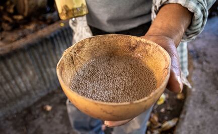 Así puedes identificar un mezcal tradicional