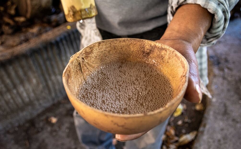 Foto: José de los Santos Calderón / Pexels