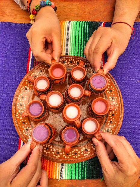 No te pierdas el tour pulquero / Cortesía Viridiana Ramírez