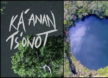 Presentan corto sobre contaminación provocada por granjas porcícolas en Yucatán