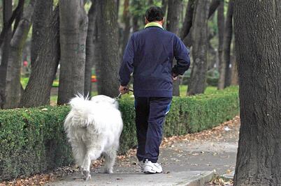 Una mujer de 75 años es la presunta asesina de perros