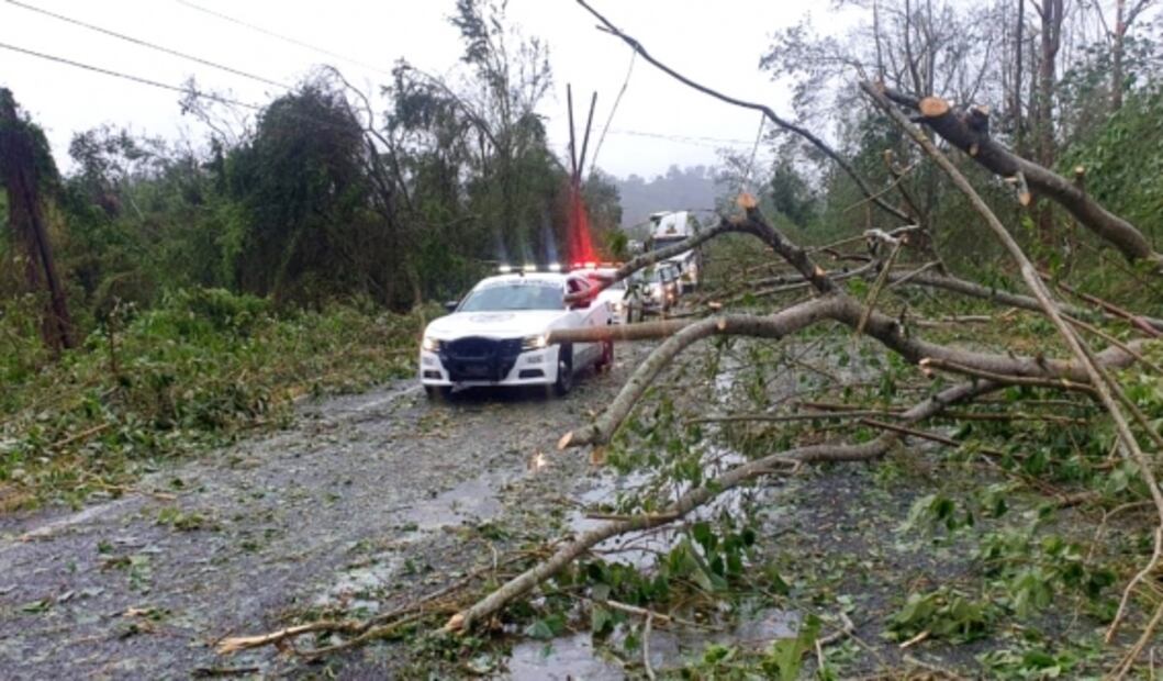 Suben a 8 los muertos tras el paso de "Grace" en Veracruz; reportan inundaciones en 22 municipios