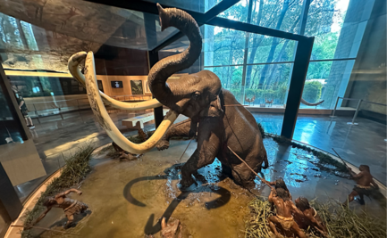 Las huellas del Mamut en el Valle de México