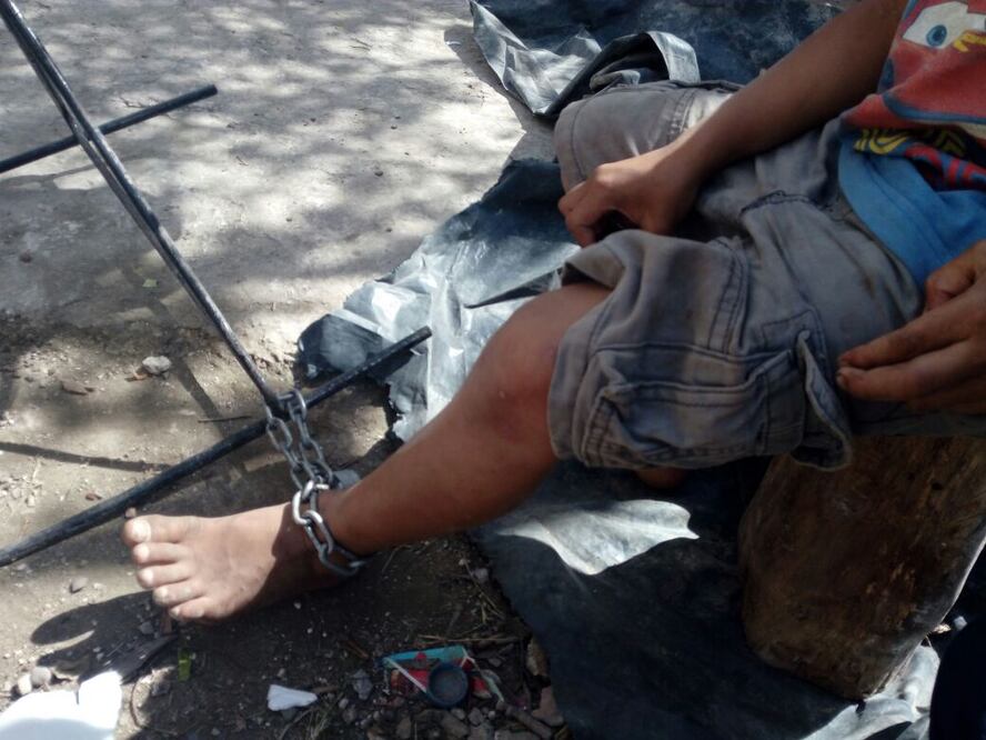 Foto: Cortesía de GEAVI