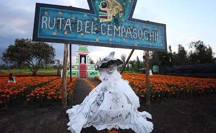Xochimilco se reporta listo para celebraciones del Día de Muertos; se espera asistencia de 5 mil personas