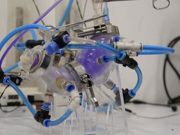 Desarrollan científicos de la UNAM estómago artificial; permite revisar disolución de fármacos
