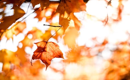 Equinoccio de otoño 2025: ¿a qué hora es el cambio de estación hoy, 22 de septiembre?