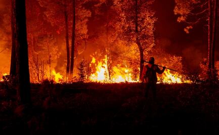 Incendios arrasan miles de hectáreas en Chihuahua; 289 siniestros registrados en 2025