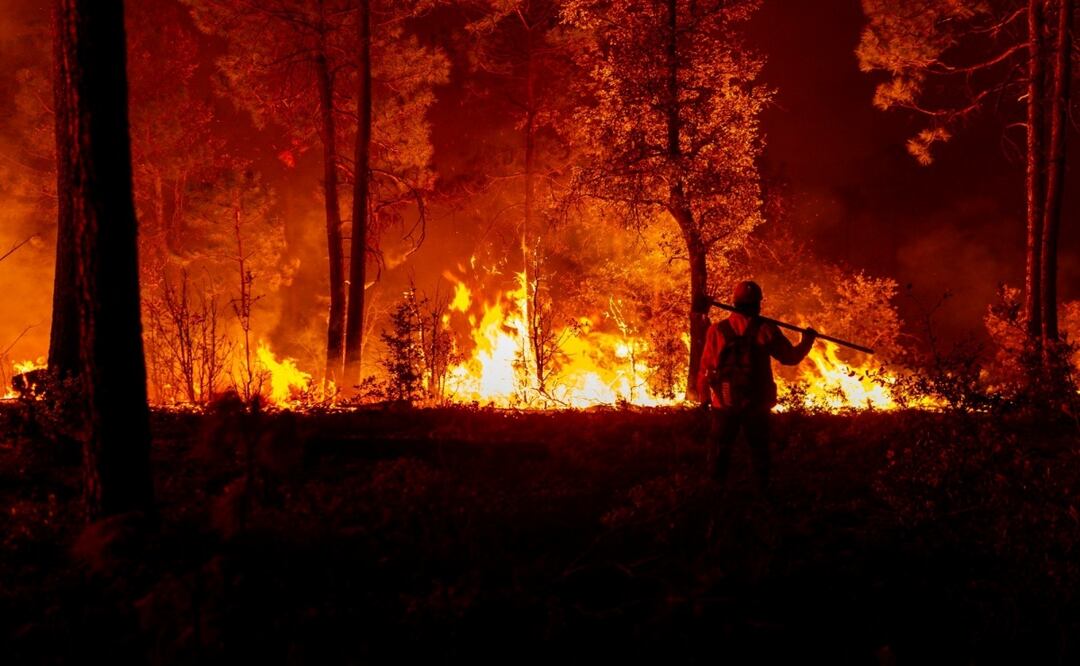 Incendios arrasan miles de hectáreas en Chihuahua; 289 siniestros registrados en 2025. Foto: Especial