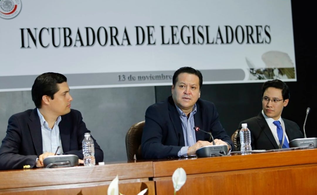 El coordinador dijo que el PAN expresa su satisfacción por el hecho de que una de las ternas esté integrada por mujeres. /Tomada de Twitter