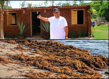 Mexican gardener builds home out of sargassum bricks