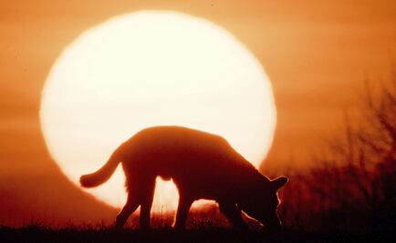 El fin de año y el solsticio