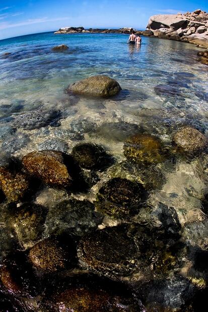 Cabo Pulmo: cómo llegar al paraíso del buceo y de las playas desconocidas en México 