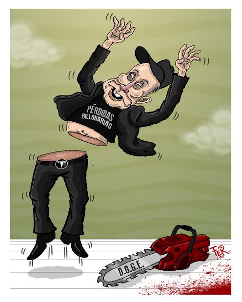 Cartón de FER
