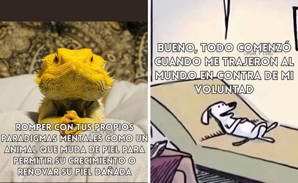 Entre frases breves y rostros famosos, este joven ha reinventado el formato del meme para hacerlo tan reflexivo como entretenido.
Foto: Captura de pantalla en Facebook