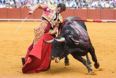 La Fiesta Brava, es un merecido homenaje a la bravura de los astados: Julián López “El Juli”
