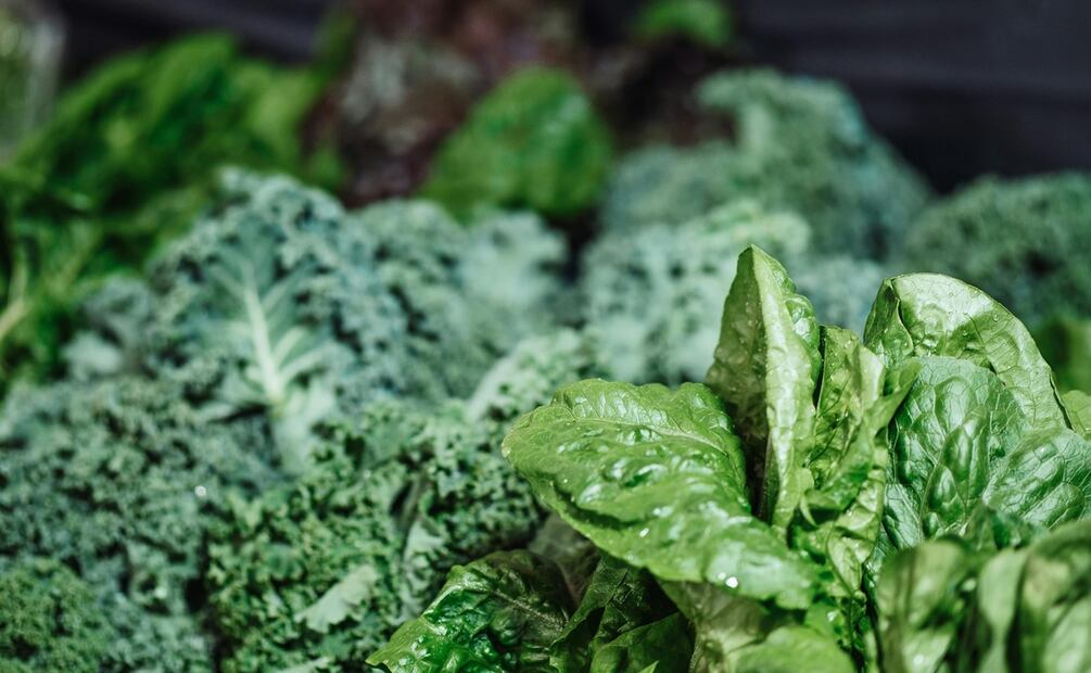 Alimentos ricos en vitamina E. Foto: Pexels
