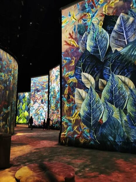 Mejores exposiciones en CDMX para este verano