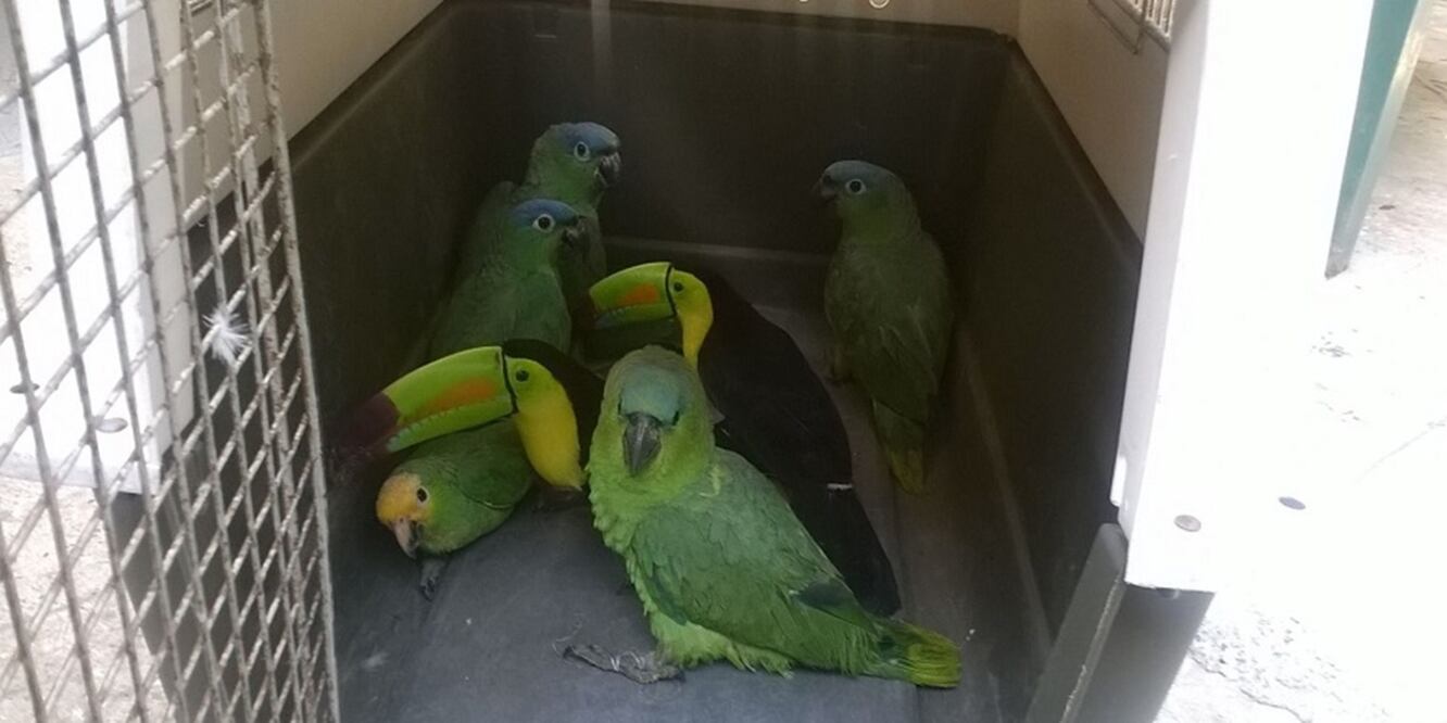 (Foto: tomada de profepa.gob.mx)