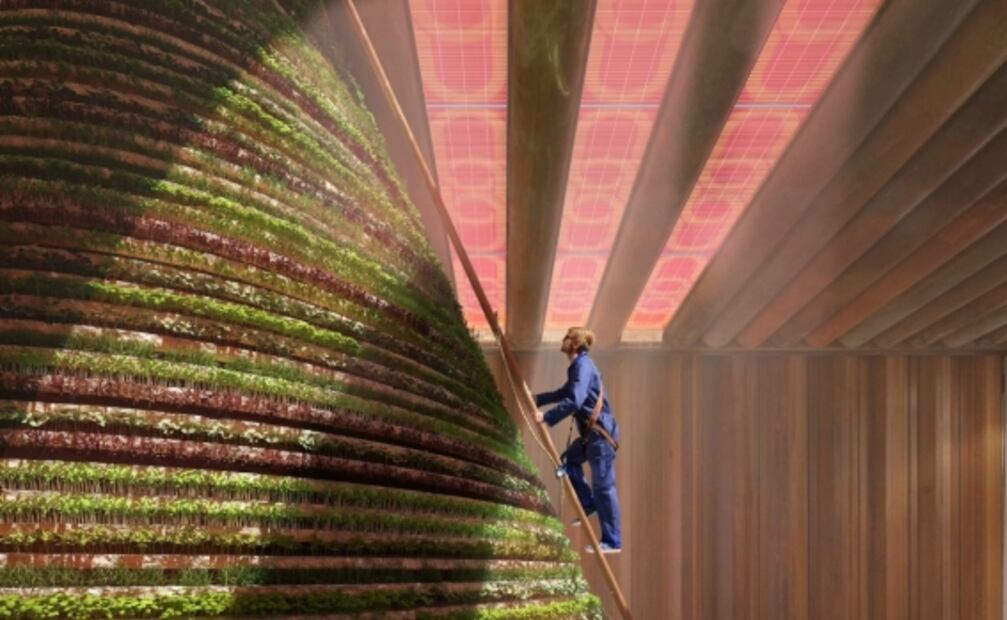 Expo 2020 Dubái, la exposición mundial que nos volará la cabeza 