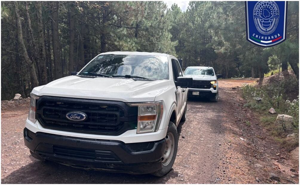 Ataque armado contra elemento de la Agencia Estatal de Investigación en Ocampo, Chihuahua (19/11/2024). Foto: Especial