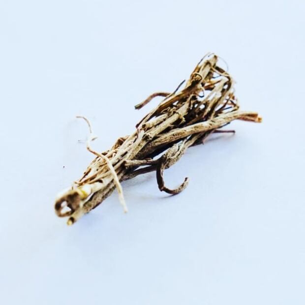 Descubre la raíz de oro y su poder analgésico 