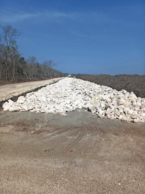 En el kilómetro 2 de la carretera a Calakmul se ha avanzado sólo en la limpieza, marcado del trazo y, en algunas partes, la nivelación del terreno donde estará la estación del Tren Maya. Foto: Cristopher Cabello / EL UNIVERSAL