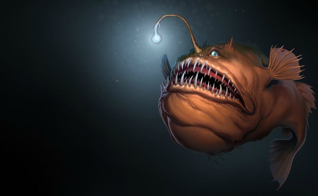 Hay peces lophiiformes que viven a por lo menos dos mil metros por debajo de la superficie del mar. Foto: iStock