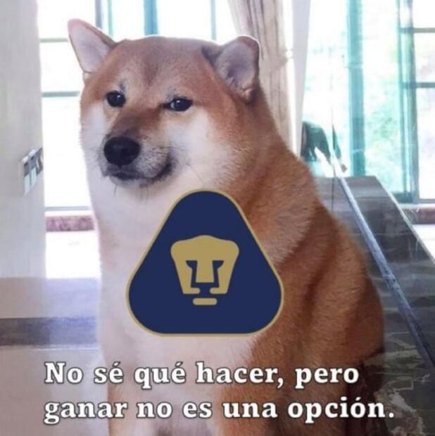 Los mejores MEMES de la derrota de Pumas ante Necaxa