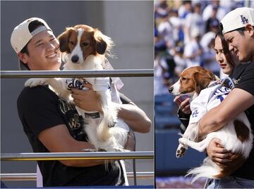 Shohei Ohtani y su famoso perro Decoy se robaron el show en el desfile de los Dodgers en Los Ángeles