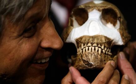 Carne cruda modificó la masticación en homínidos