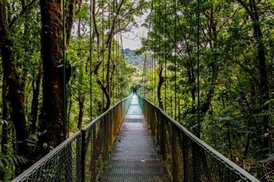 Costa Rica: 7 maravillas naturales para disfrutar después del encierro