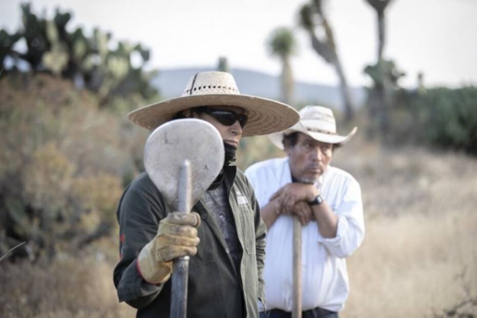 Guanajuato: territorio ancestral para destilar mezcal