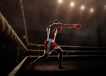 Del boxeo al Muay Thai: RING KONG impulsa el mercado de artes marciales