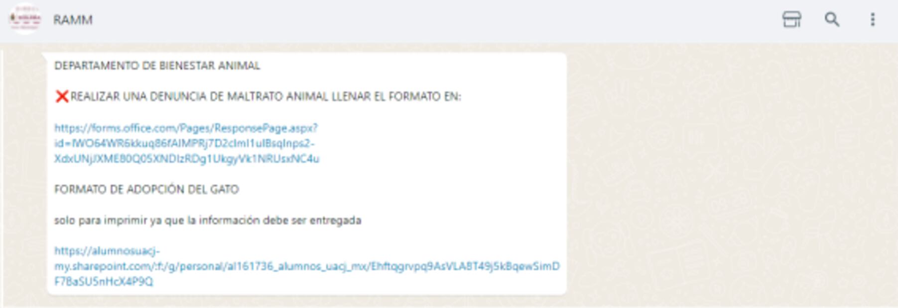 ¿Quieres ser la Karen del gatito egipcio rescatado en penal de Juárez? Aquí la convocatoria 