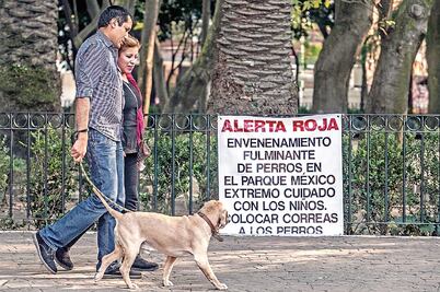 Envenenaron a perros por error; iban por plagas: PGJDF
