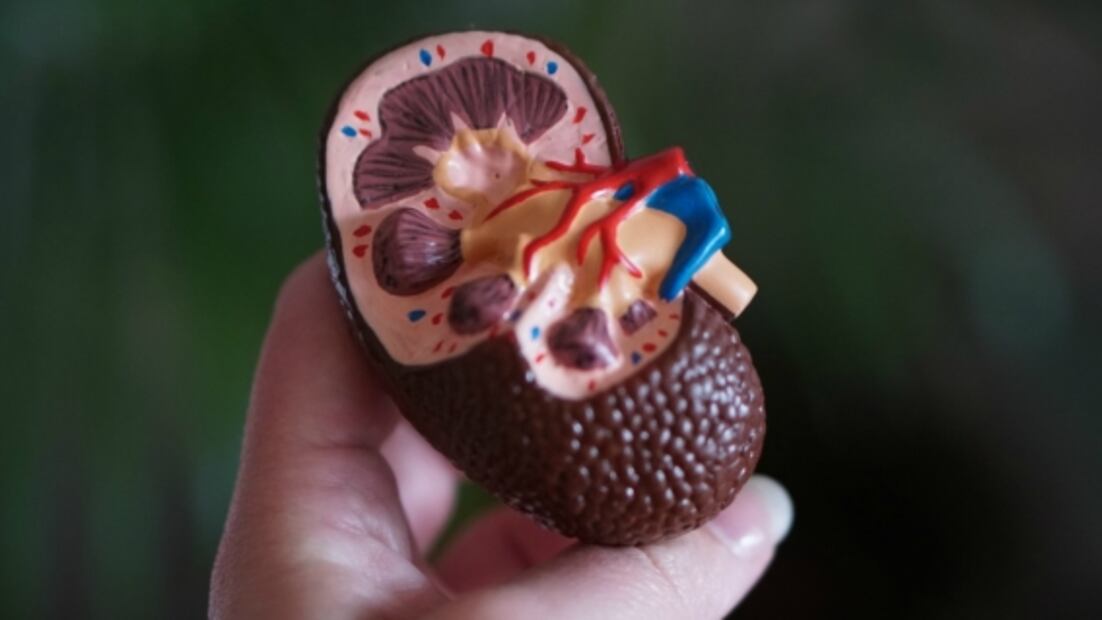 Enfermedad renal crónica, su impacto en la conducción y consejos a seguir