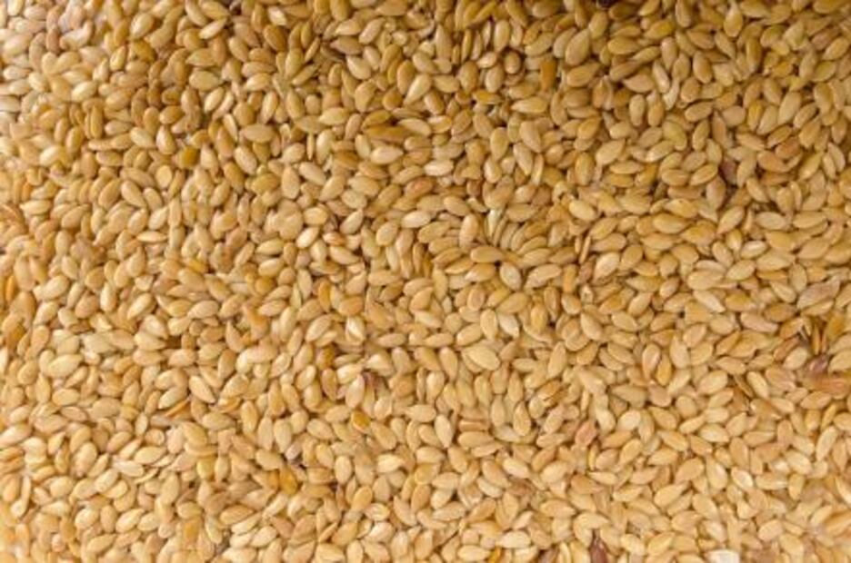 Alimentos ricos en calcio para perder grasa 