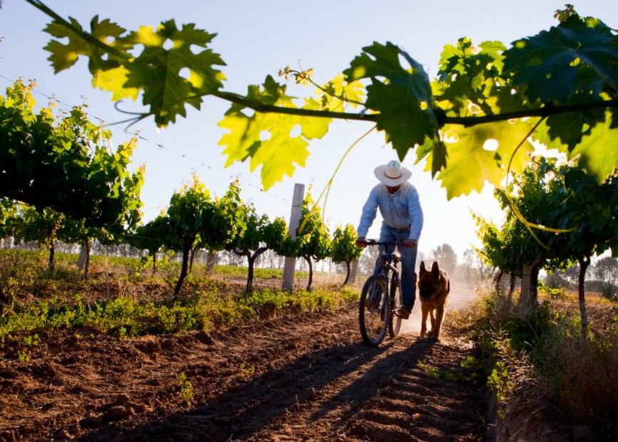 Foto: Cuna de Tierra