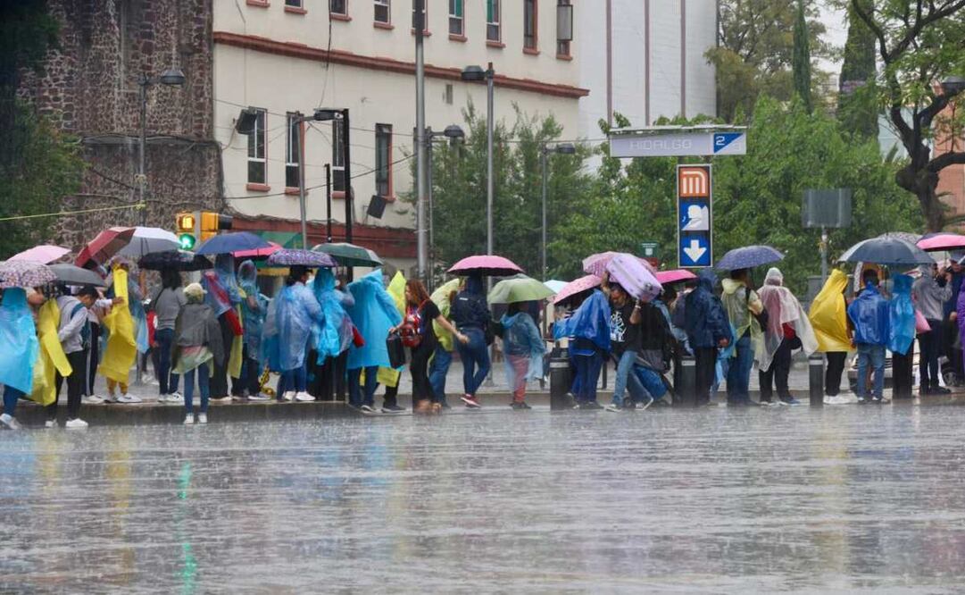 Foto: Foto Darío Luna/ EL UNIVERSAL