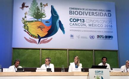 Pérdida de biodiversidad, asunto de seguridad nacional: Mancera